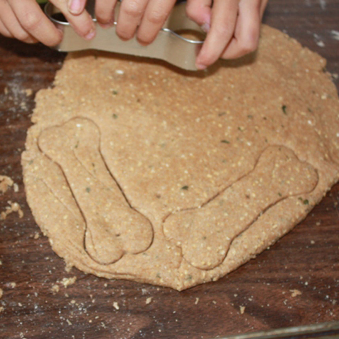 4-H Dog Treats Extraordinaire