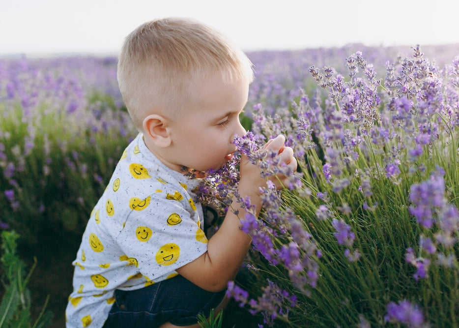 Smells Like Seattle Spirit: Creating Memory Through Scent