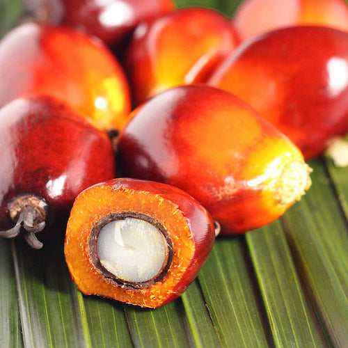 Palm Oil Quandary