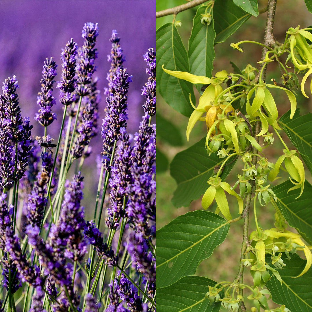 Summer Flower Lotion Bar - Seattle Sundries - Solid Lotion