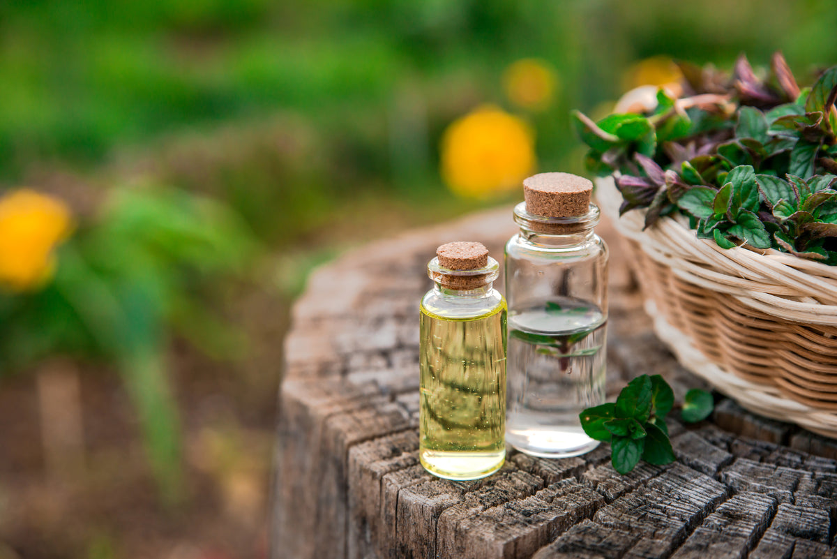 small glass bottles of oil in a nature setting