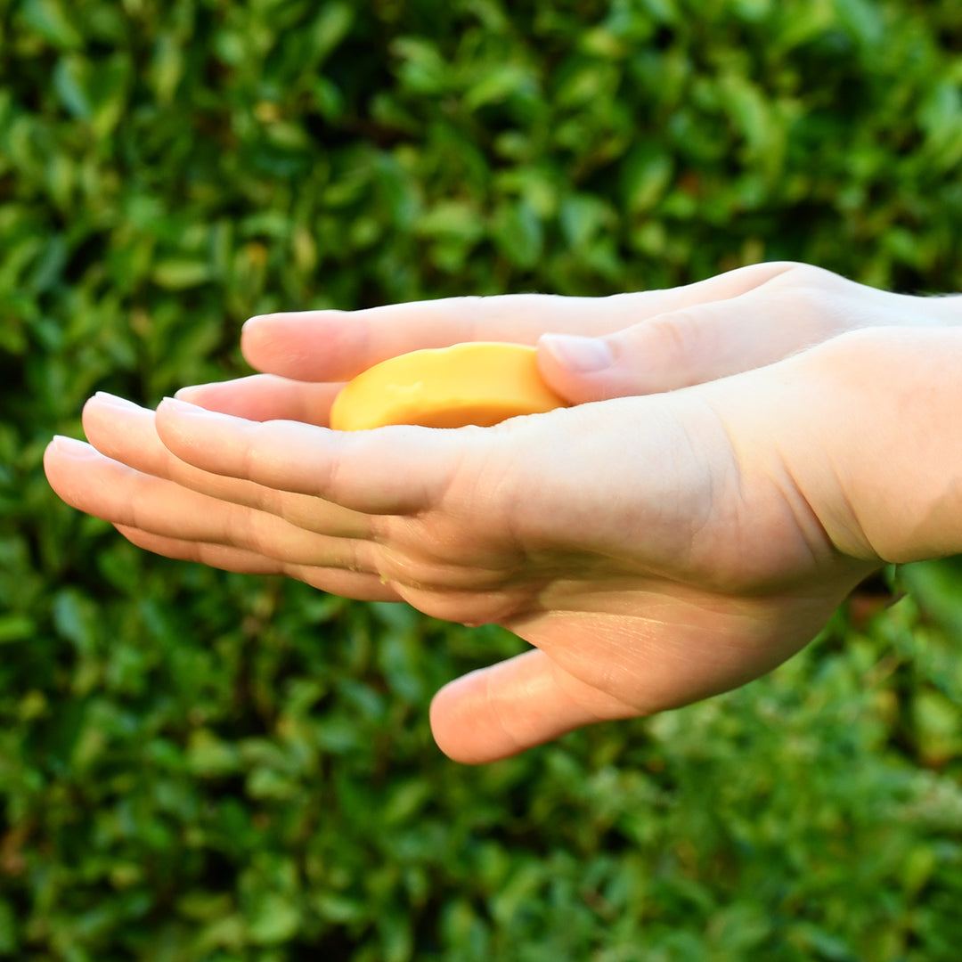 Herbal Lemon Verbena Lotion Bar - Seattle Sundries - Solid Lotion