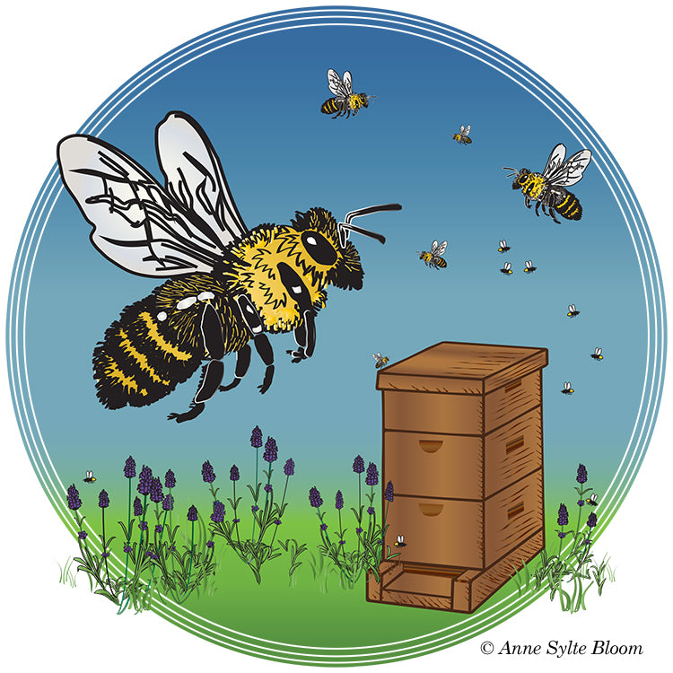 Honey Bee Tote Bag - Seattle Sundries -