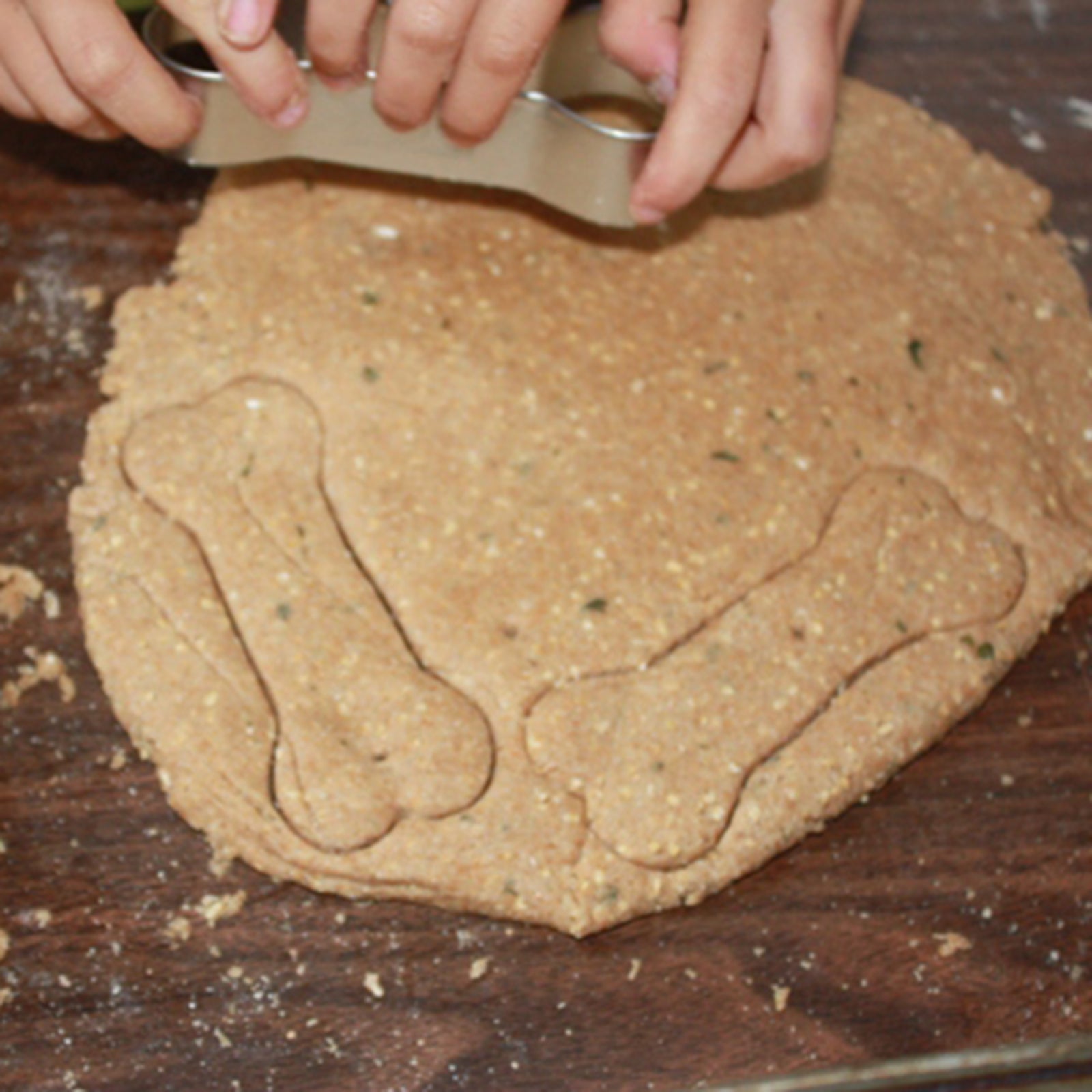 4-H Dog Treats Extraordinaire