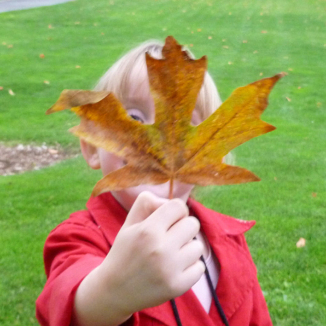 How To: Autumn Leaf Cards