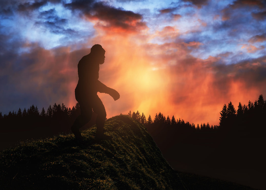 A Soap for the Pacific Northwest: Don't Smell Like Sasquatch