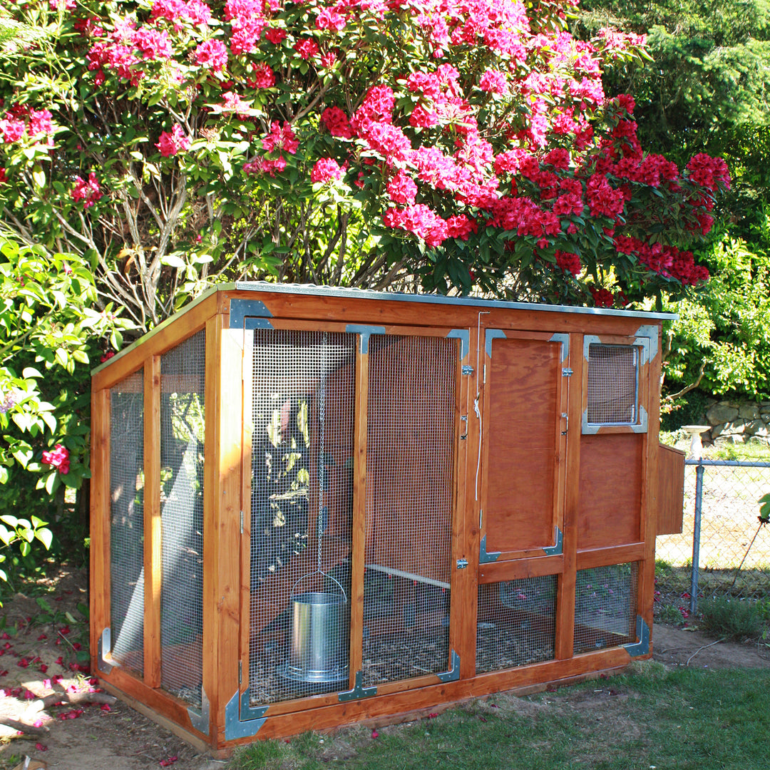 Bloomin' Chicken Coop