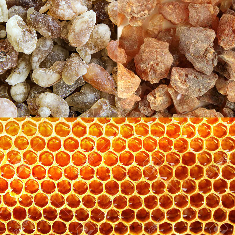 Apothecary - Solid Lotion Bar – Shipwreck Honey